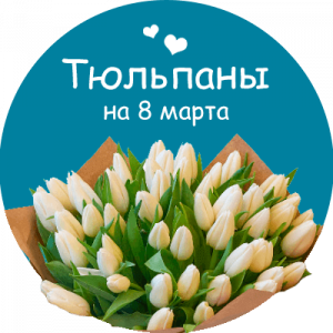 Купить тюльпаны в Кировграде